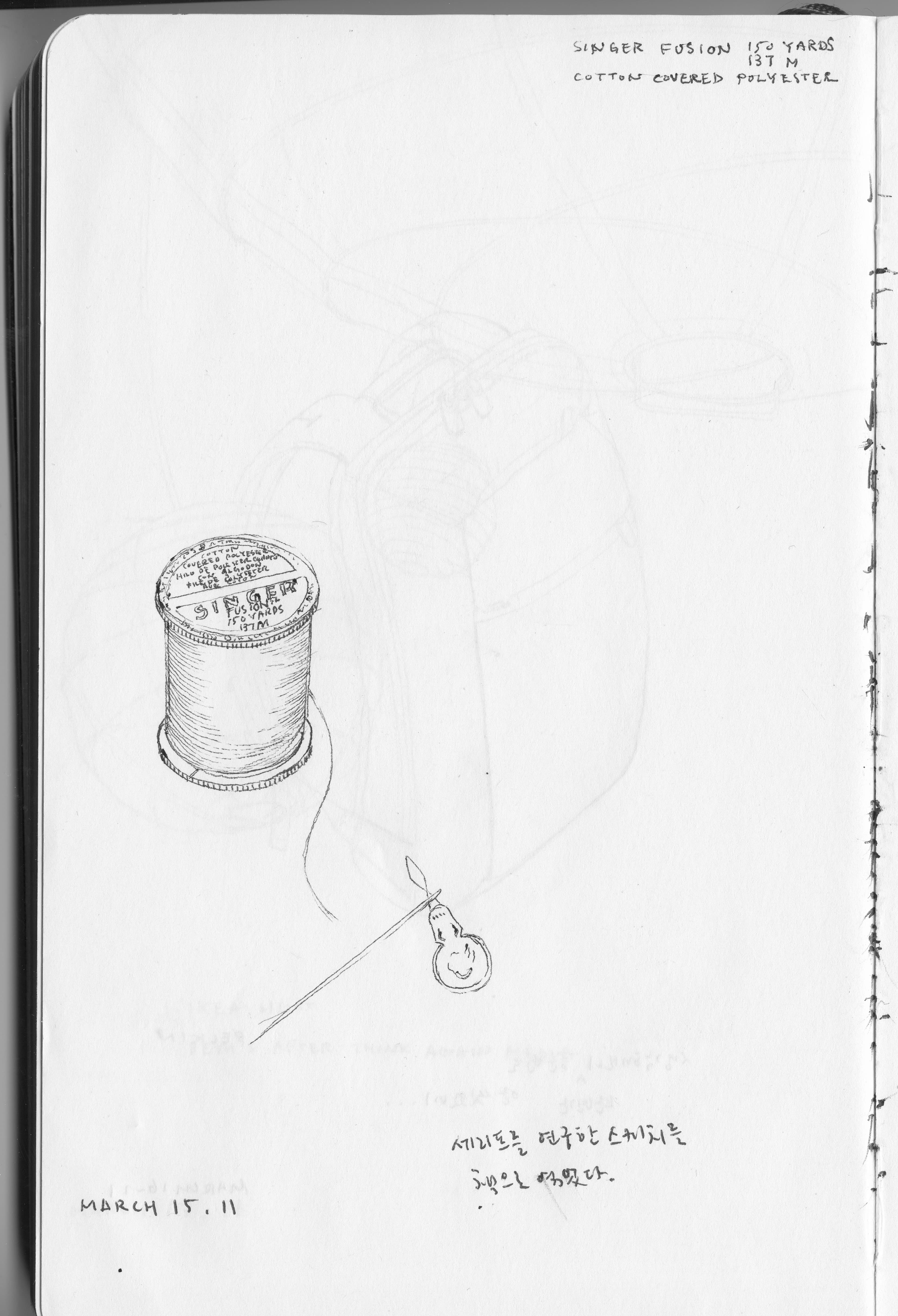 diary_031511.jpg